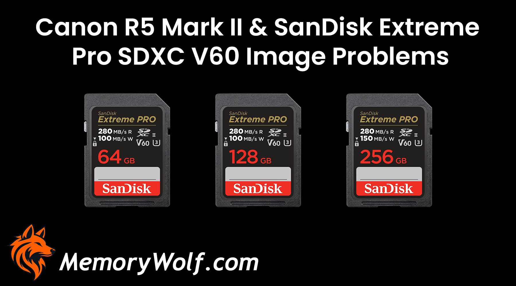 Canon R5 Mark II May Record Abnormal Images With SanDisk Extreme PRO SDXC UHS-II 64GB, 128GB and 256GB V60 Cards