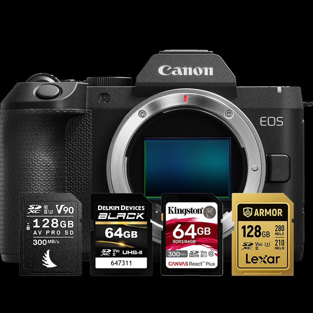 Canon R8 II Memory Cards