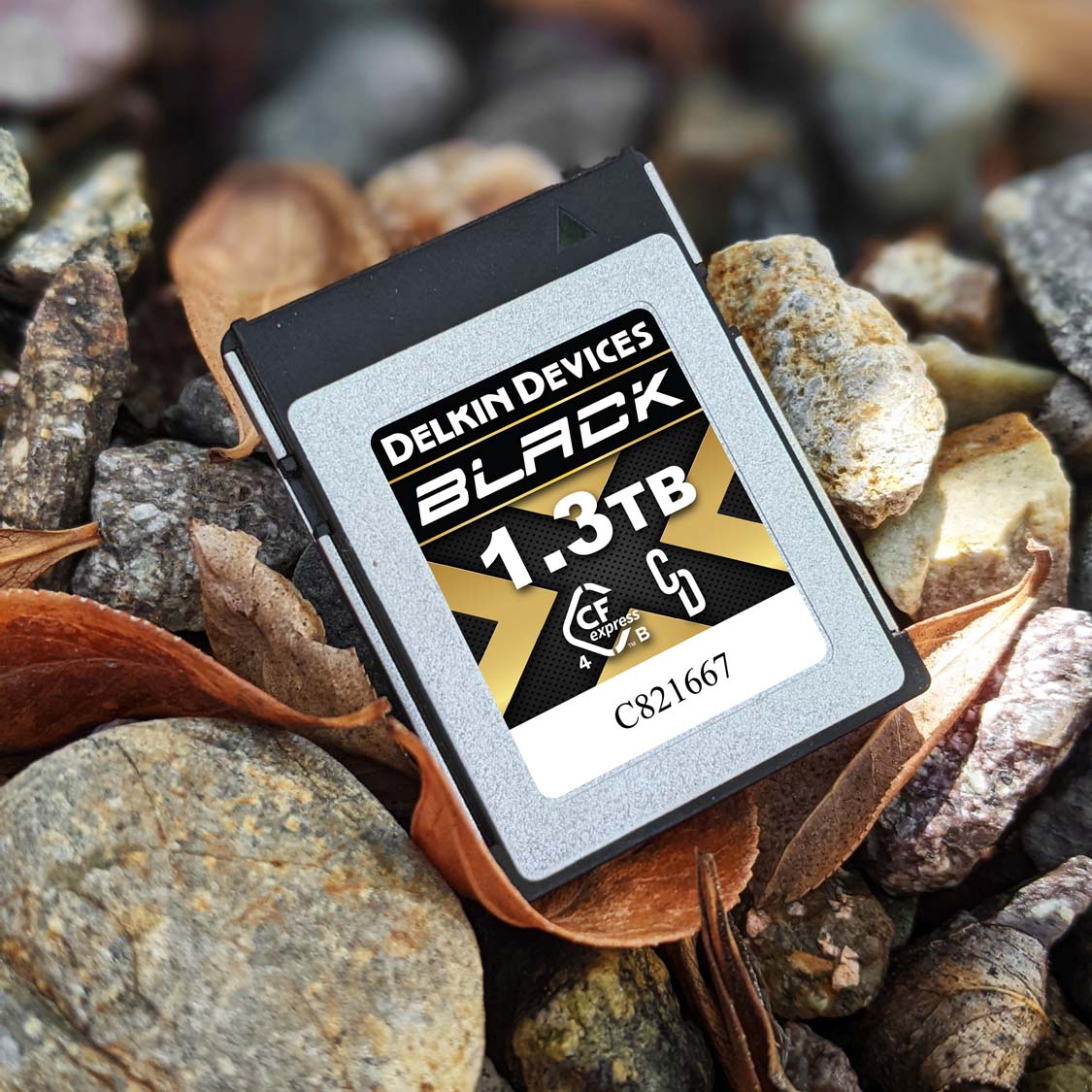 Delkin Devices BLACK 4.0 CFexpress Type B Memory Cards