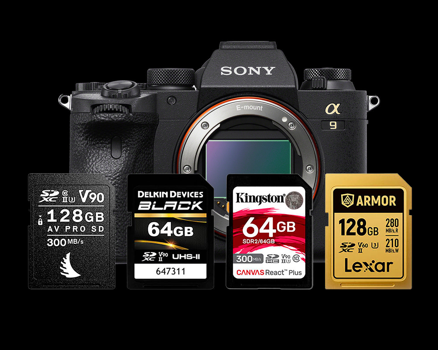 Sony A9 II Memory Cards