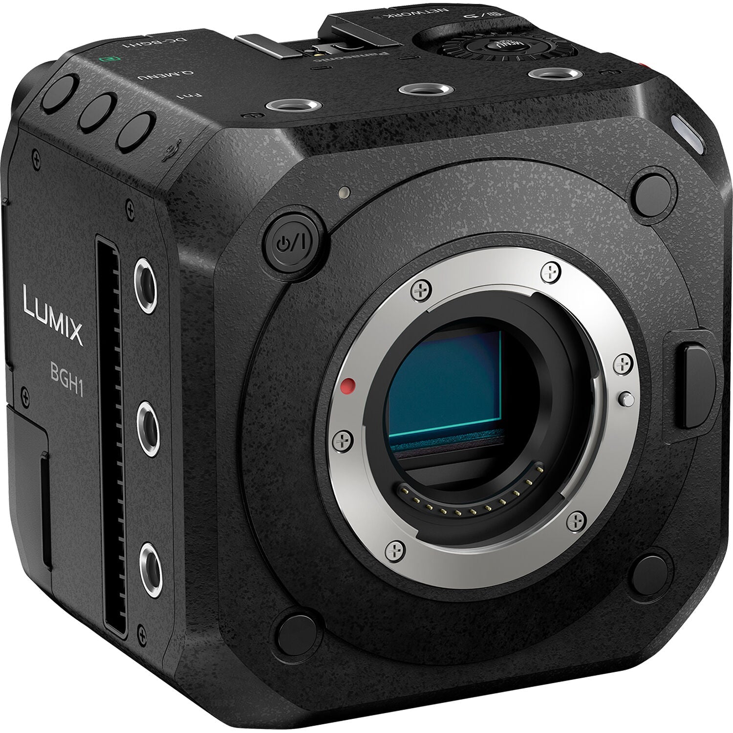 Panasonic Lumix BGH1 Memory Cards