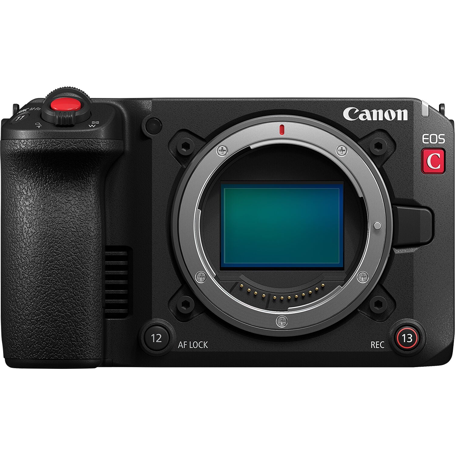 Canon C50 Memory Cards