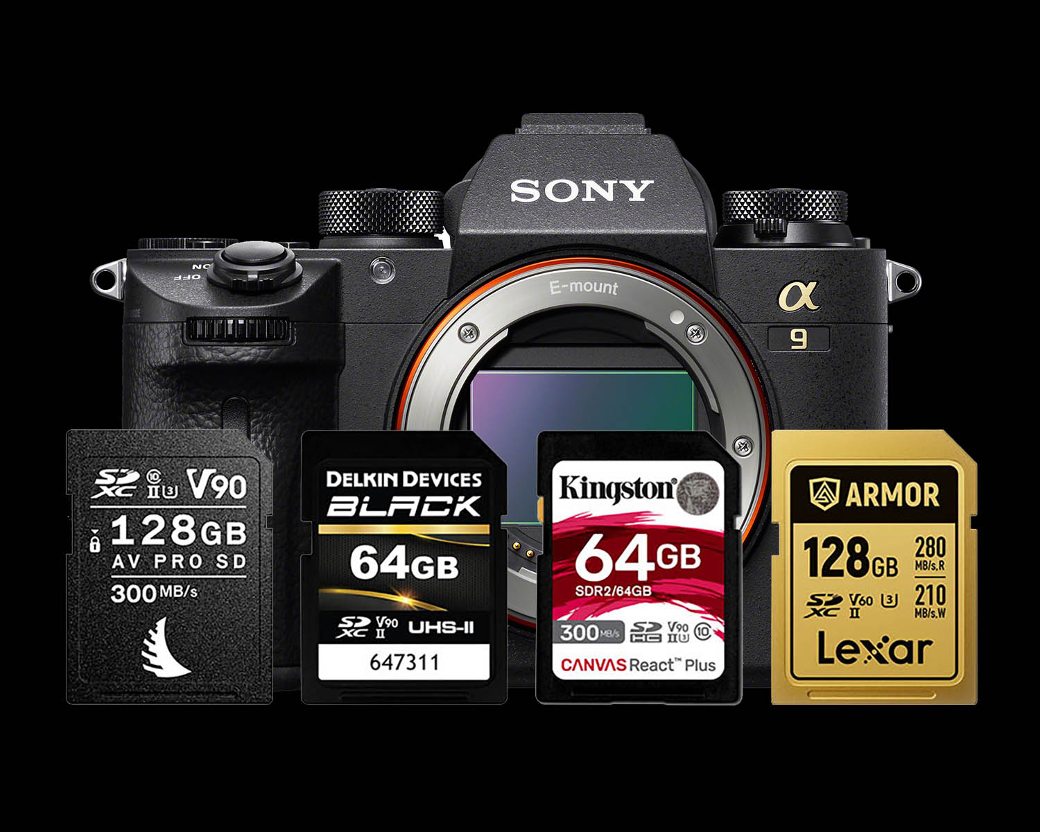 Sony A9 Memory Cards