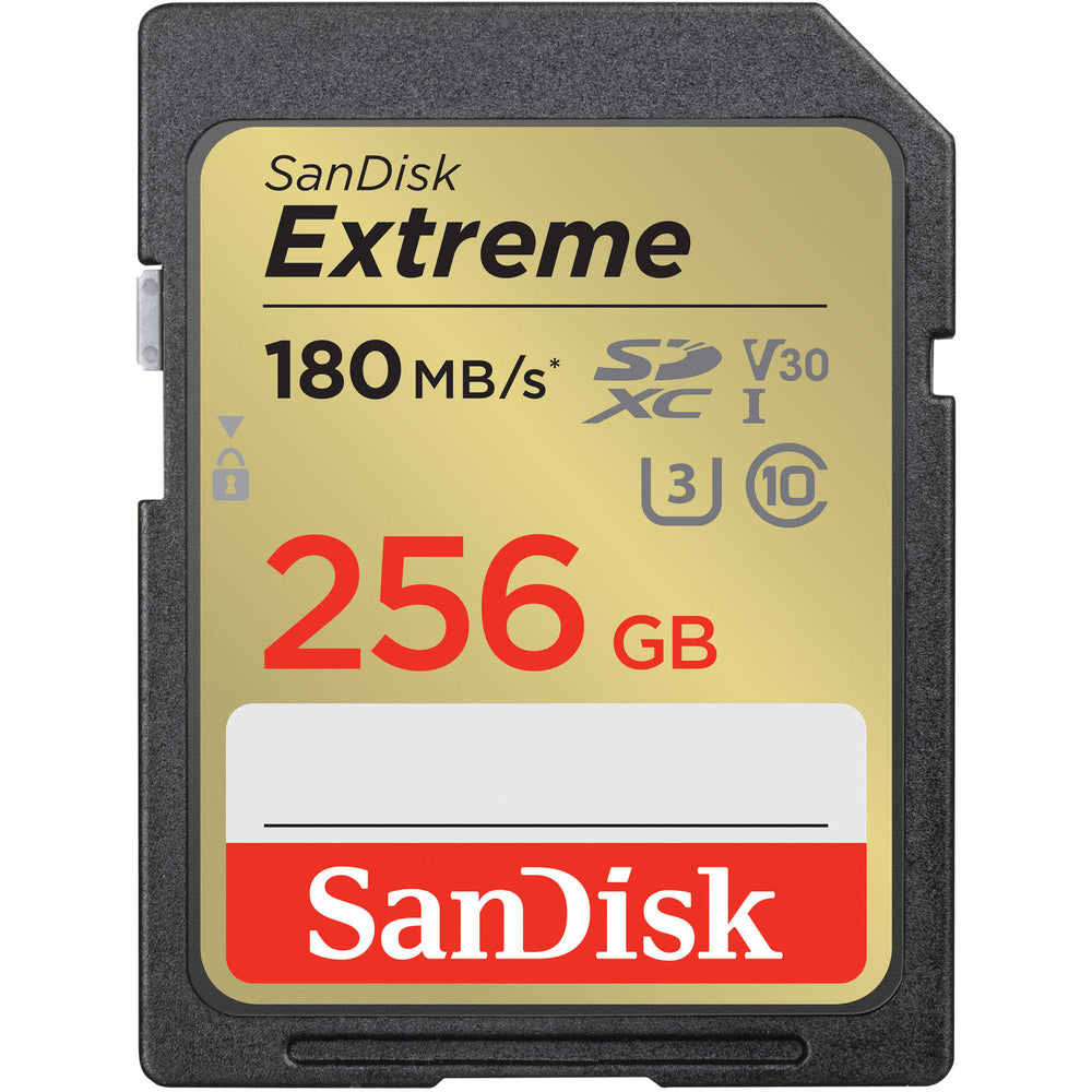 Panasonic LUMIX ZS99 / TZ99: Best Memory Cards for Photo & Video